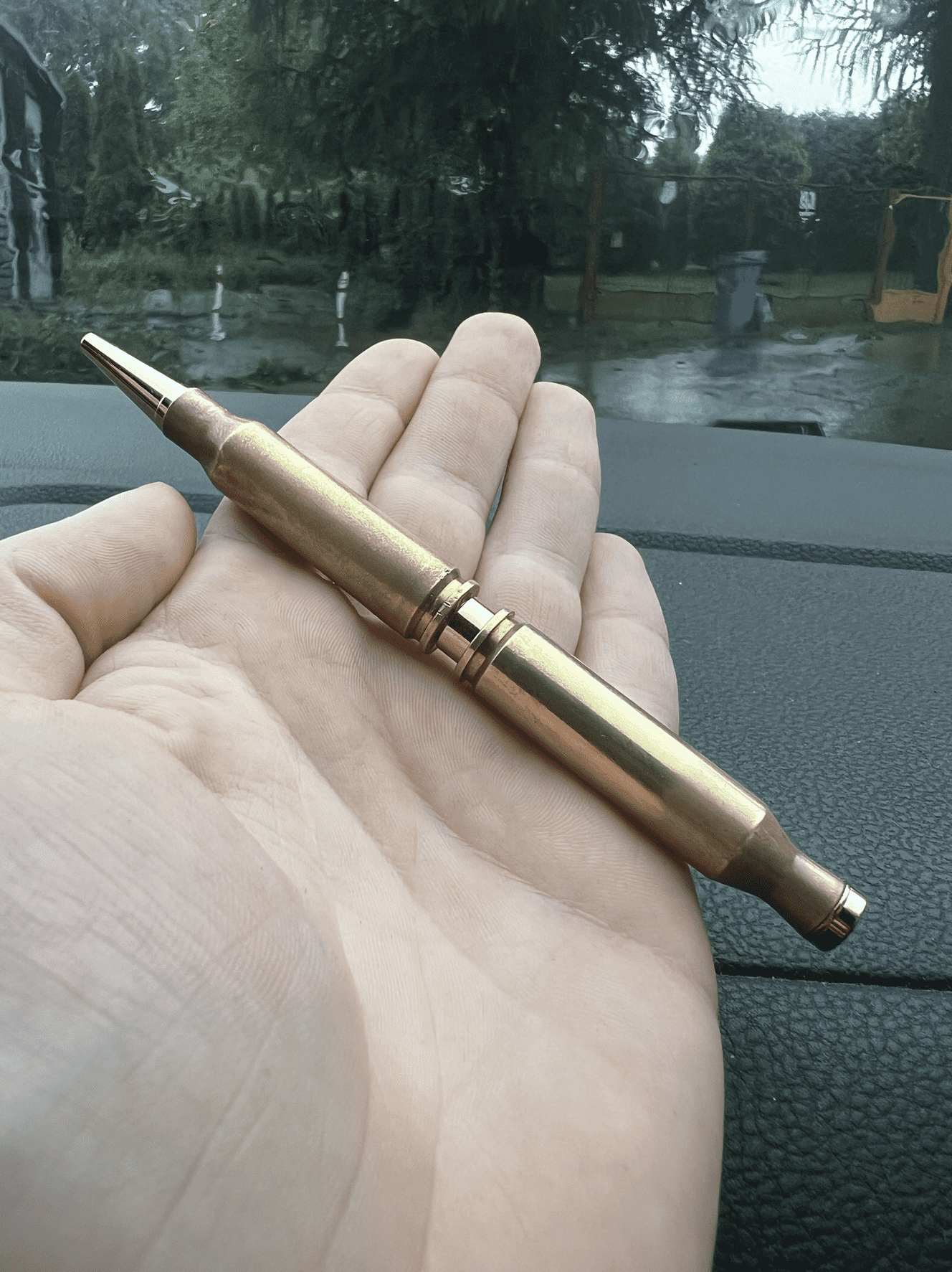 Pen Image